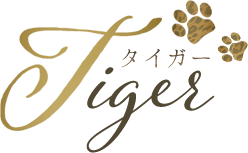 名古屋メンズエステ「Tiger～タイガー」GRAND OPEN!!